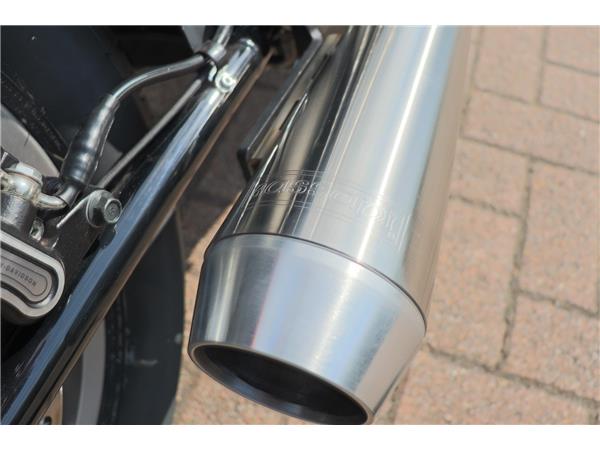 2025 HARLEY-DAVIDSON SOFTAIL STANDARD 