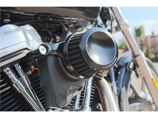 2025 HARLEY-DAVIDSON SOFTAIL STANDARD 