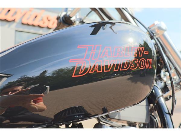 2025 HARLEY-DAVIDSON SOFTAIL STANDARD 