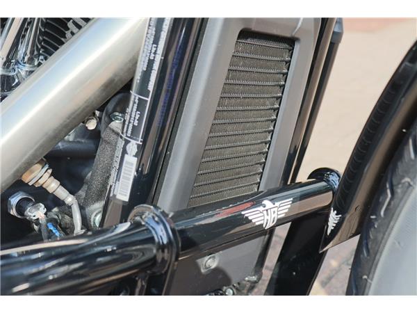 2025 HARLEY-DAVIDSON SOFTAIL STANDARD 