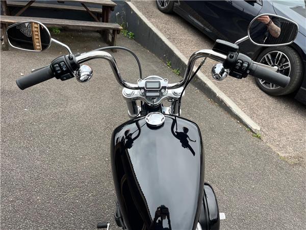 2021 Harley-Davidson Softail