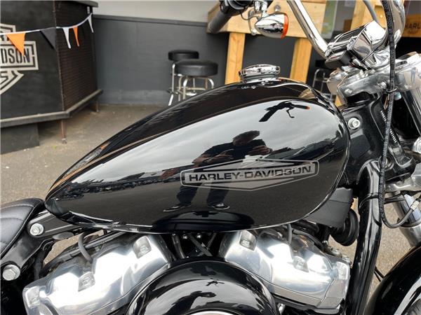2021 Harley-Davidson Softail