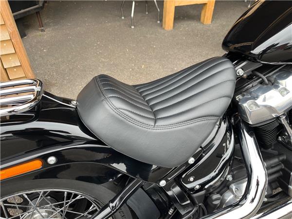 2021 Harley-Davidson Softail