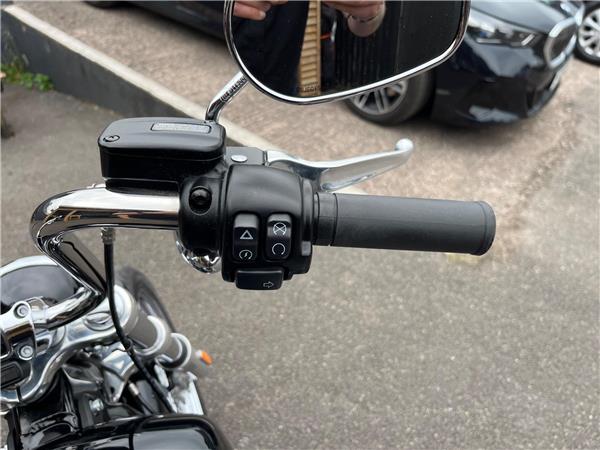 2021 Harley-Davidson Softail