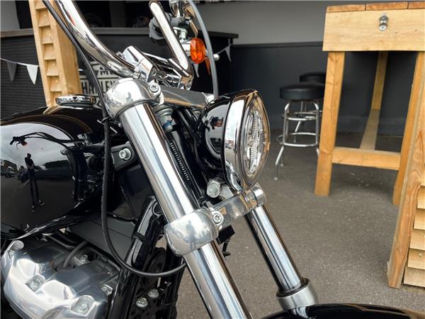 2021 Harley-Davidson Softail