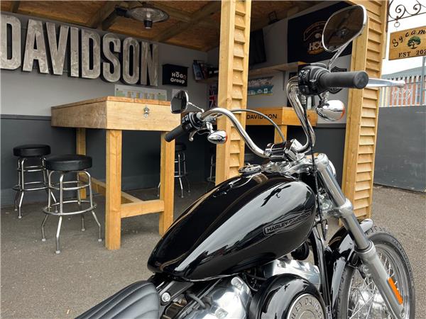 2021 Harley-Davidson Softail