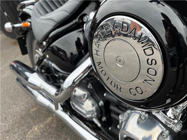 2021 Harley-Davidson Softail