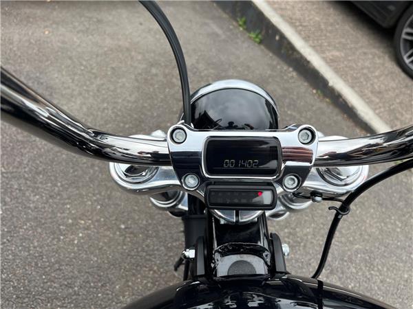 2021 Harley-Davidson Softail