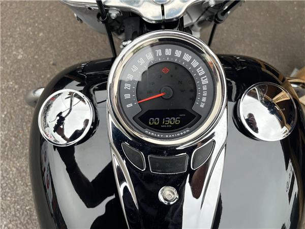 2021 Harley-Davidson Softail