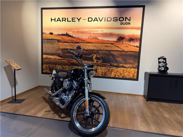 2010 HARLEY-DAVIDSON LOW
