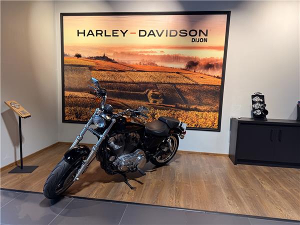 2010 HARLEY-DAVIDSON LOW