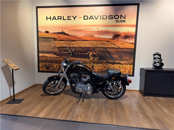 2010 HARLEY-DAVIDSON LOW