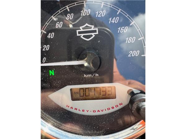 2019 HARLEY-DAVIDSON STREET ROD