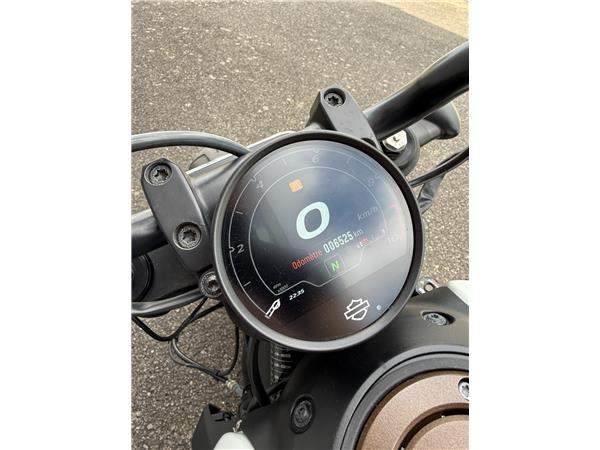 2022 HARLEY-DAVIDSON SPORTSTER 1250