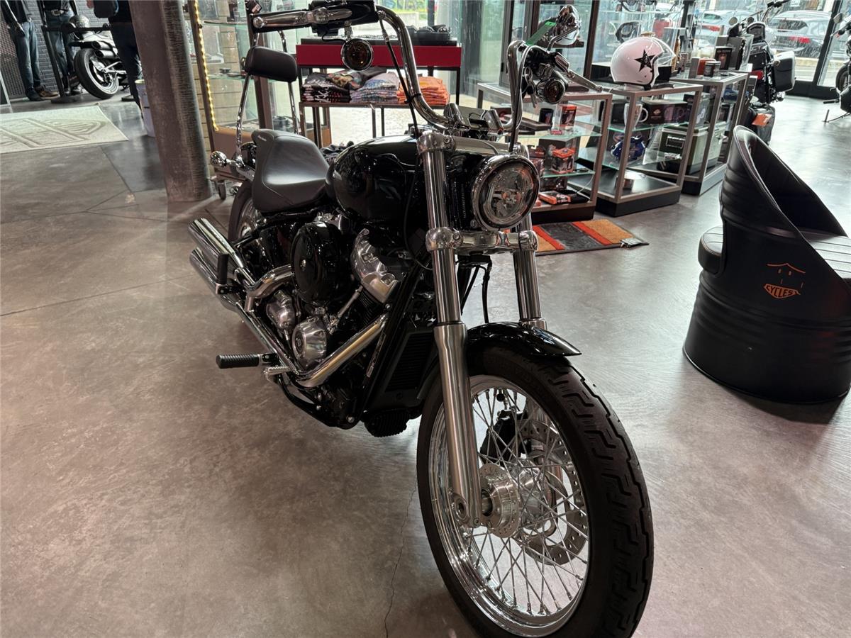 2021 harley-davidson FXST 1745 Softail Standard 107