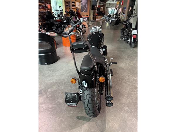 2021 HARLEY-DAVIDSON Softail FXST 1745 Softail Standard 107