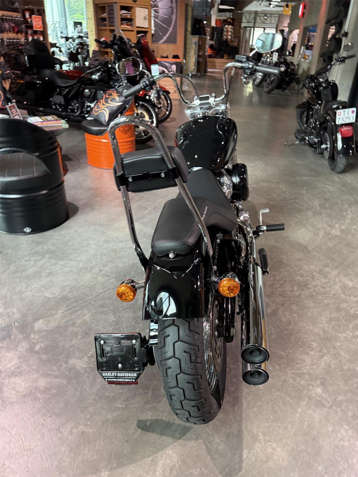 2021 harley-davidson FXST 1745 Softail Standard 107
