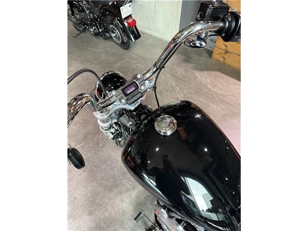 2021 HARLEY-DAVIDSON Softail FXST 1745 Softail Standard 107