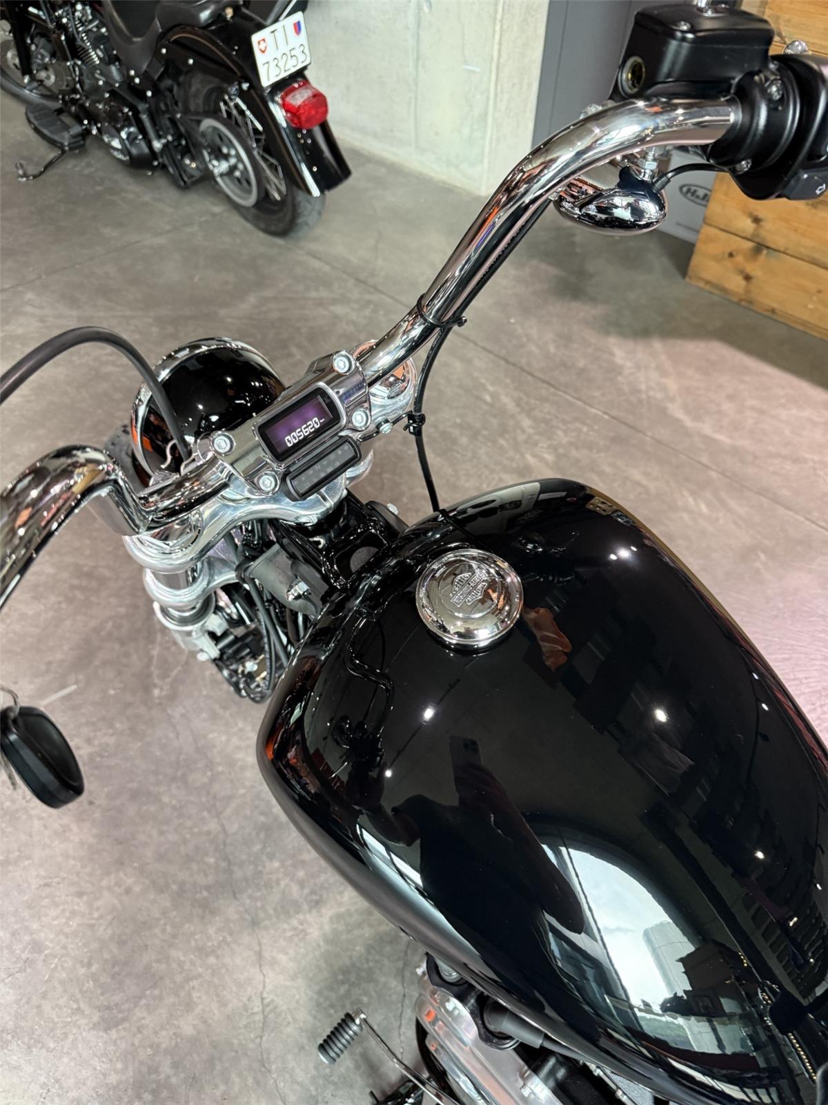 2021 harley-davidson FXST 1745 Softail Standard 107