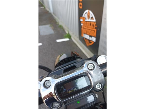 2020 HARLEY-DAVIDSON BREAKOUT
