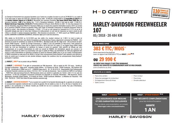 2018 HARLEY-DAVIDSON FREEWHEELER