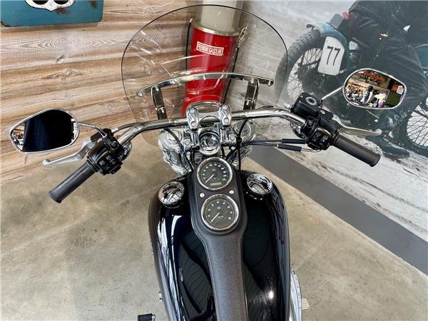 2015 HARLEY-DAVIDSON LOW RIDER