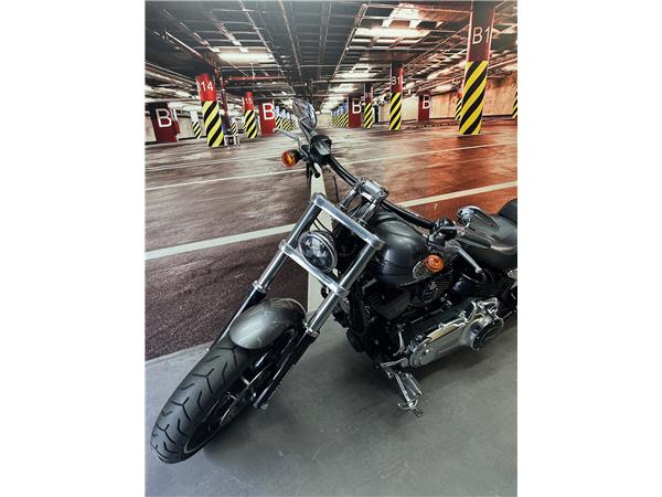 2015 HARLEY-DAVIDSON BREAKOUT