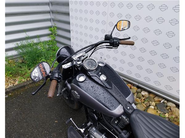 2021 HARLEY-DAVIDSON SLIM