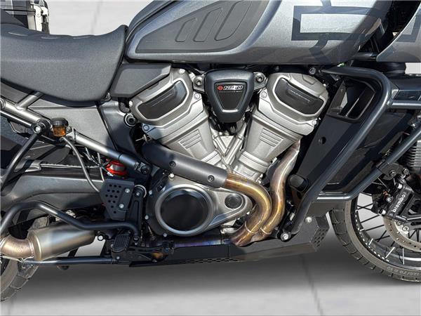 2023 HARLEY-DAVIDSON PAN AMERICA RA Pan America 1250 Special