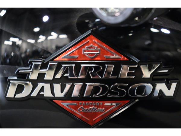2025 HARLEY-DAVIDSON BREAKOUT 117 