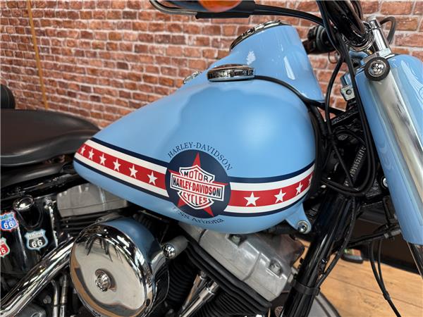 2013 HARLEY-DAVIDSON SLIM