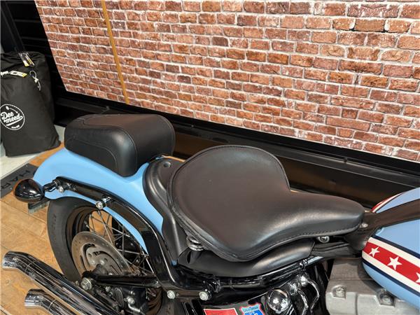 2013 HARLEY-DAVIDSON SLIM