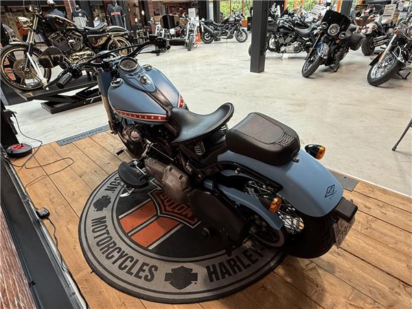 2013 HARLEY-DAVIDSON SLIM
