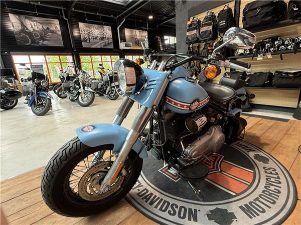 2013 HARLEY-DAVIDSON SLIM