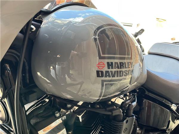 2024 Harley-Davidson Softail
