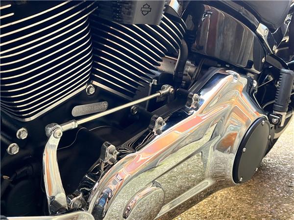 2024 Harley-Davidson Softail