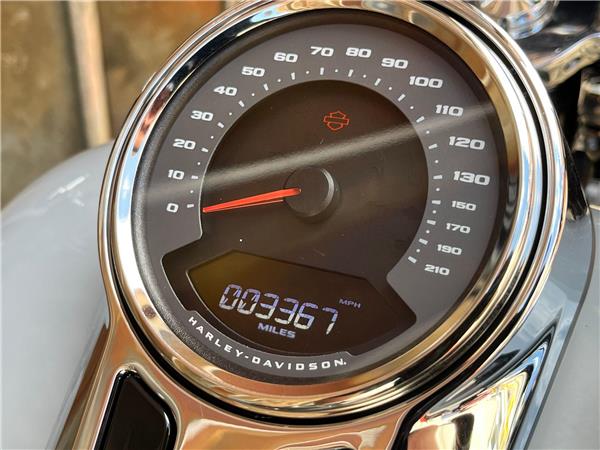 2024 Harley-Davidson Softail