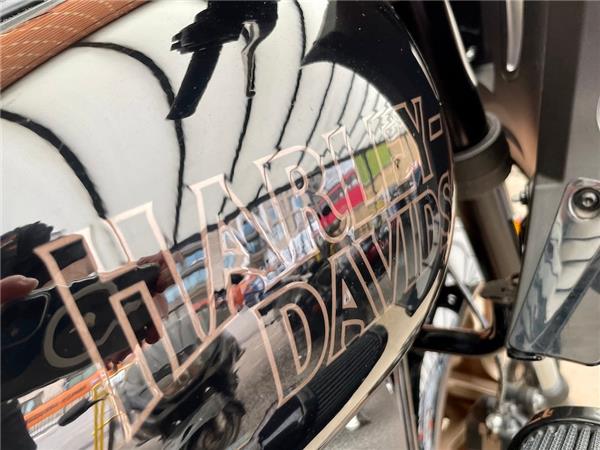 2024 HARLEY-DAVIDSON LOW RIDER ST