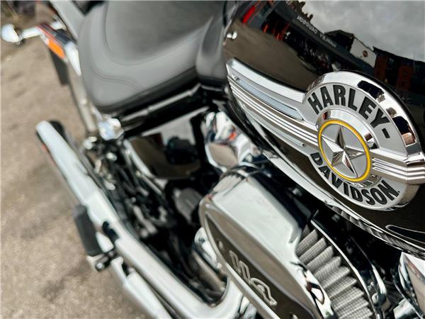 2024 Harley-Davidson Softail