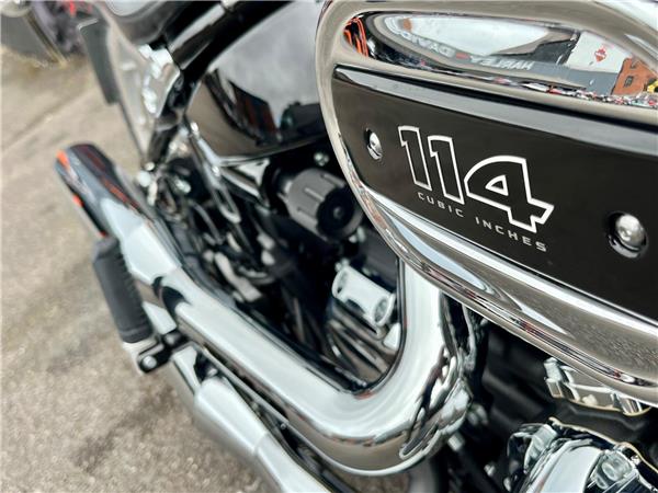 2024 Harley-Davidson Softail