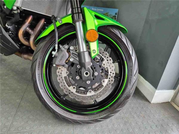 2023 Kawasaki VERSYS 650 GREEN