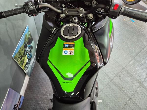 2023 Kawasaki VERSYS 650 GREEN