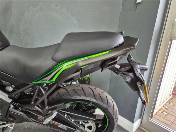 2023 Kawasaki VERSYS 650 GREEN