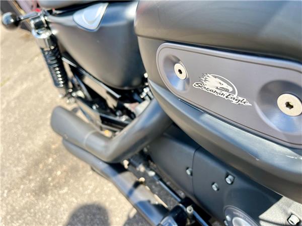 2014 Harley-Davidson Sportster
