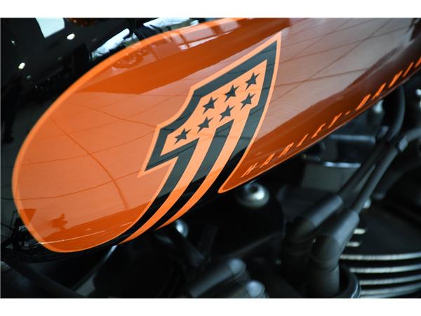 2021 HARLEY-DAVIDSON SOFTAIL FXBBS STREET BOB 114