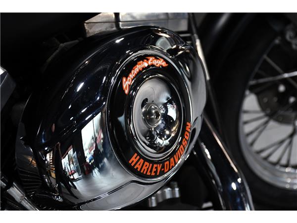 2006 HARLEY-DAVIDSON DYNA FXDB STREET BOB