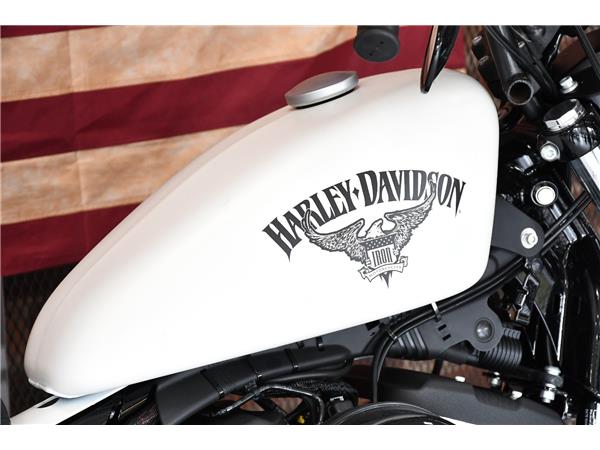 2018 HARLEY-DAVIDSON IRON 883