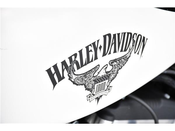 2018 HARLEY-DAVIDSON IRON 883