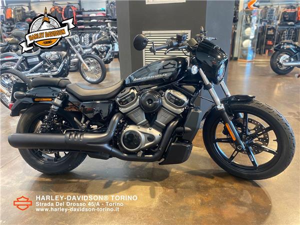 Harley-Davidson Nightster 975 - 2024