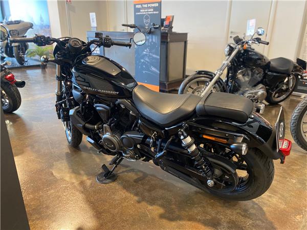 Harley-Davidson Nightster 975 - 2024